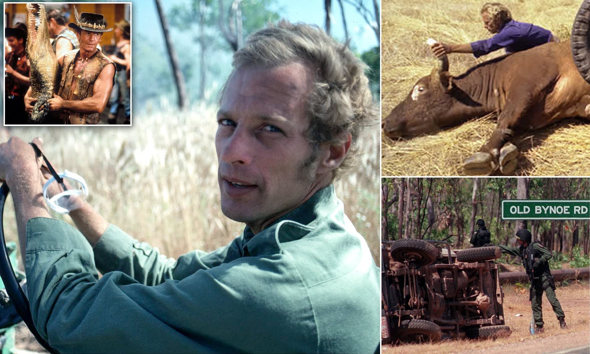 Robert Ansell Water Buffalo and Driving