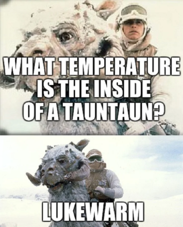 Star Wars TaunTaun meme joke what's the temperature of a TaunTaun luke warm 