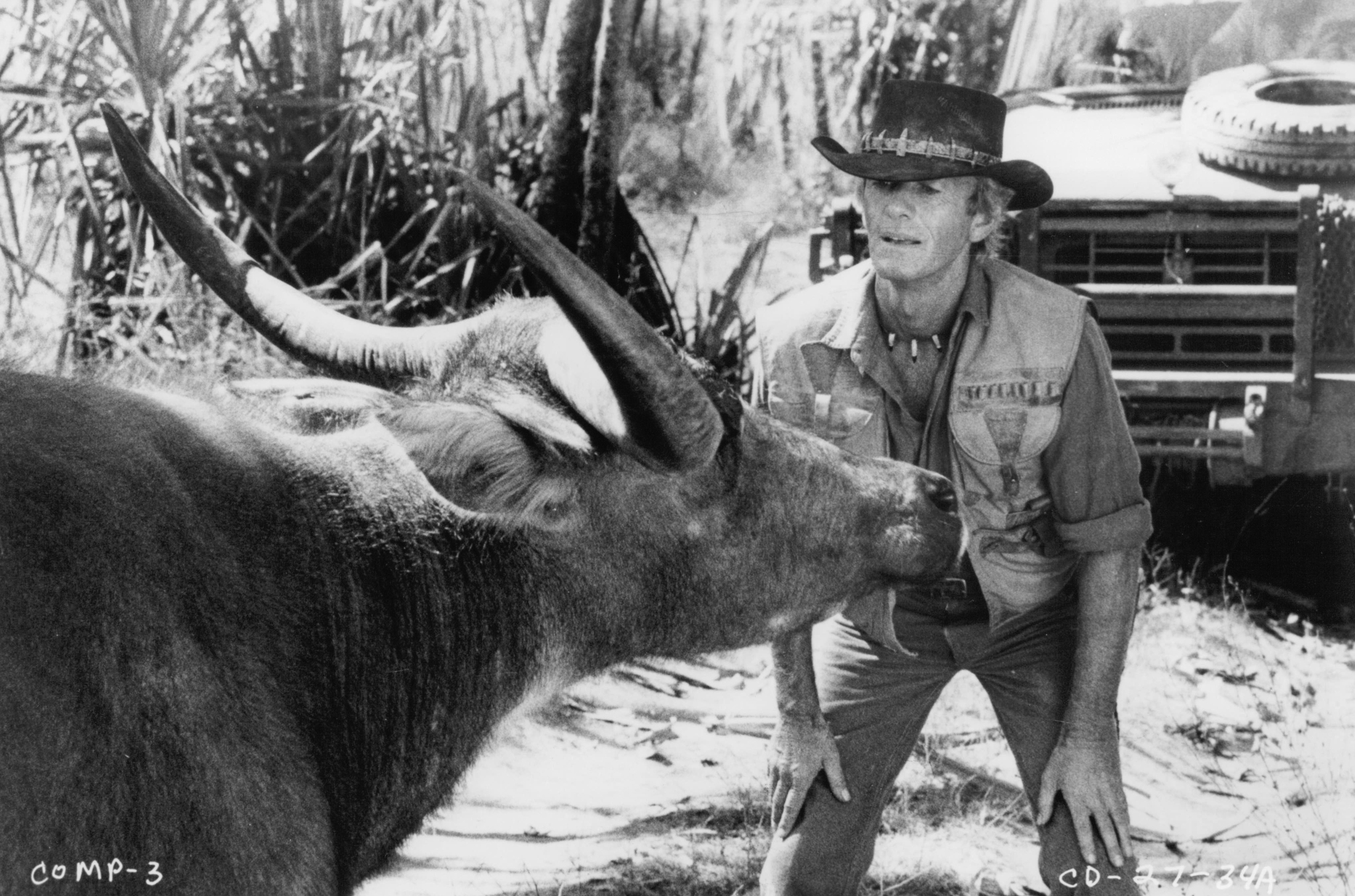 Crocodile Dundee behind the scenes Paul Hogan Mick Dundee with Water Buffalo