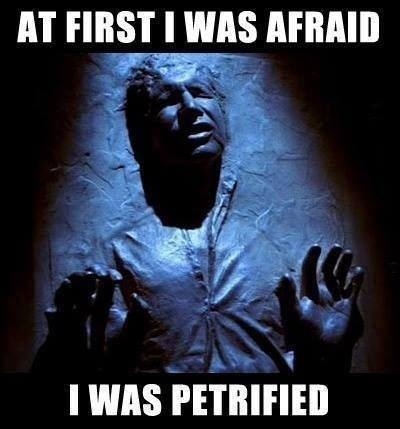 Han Solo Meme Star Wars At First I was Afraid I was Petrified 